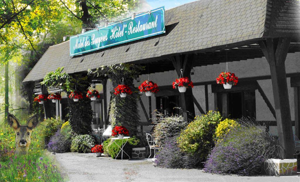 Motel Des Bruyeres Lamotte-Beuvron Exterior foto